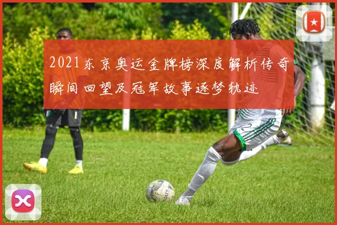 2021东京奥运金牌榜深度解析传奇瞬间回望及冠军故事逐梦轨迹