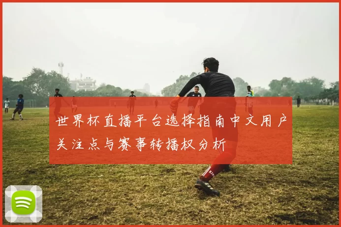 世界杯直播平台选择指南中文用户关注点与赛事转播权分析