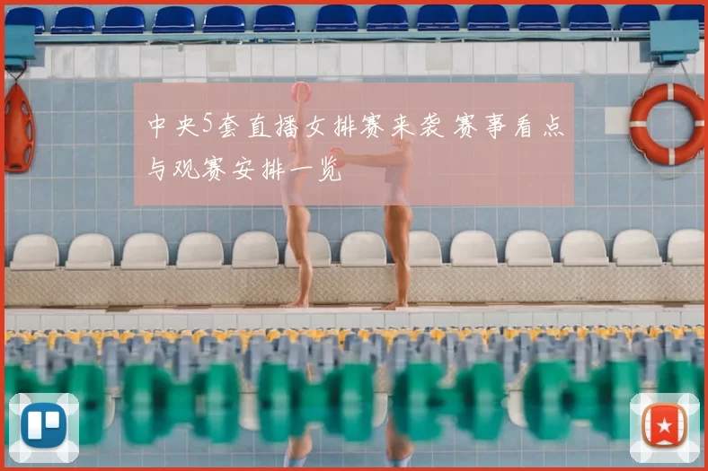 中央5套直播女排赛来袭 赛事看点与观赛安排一览