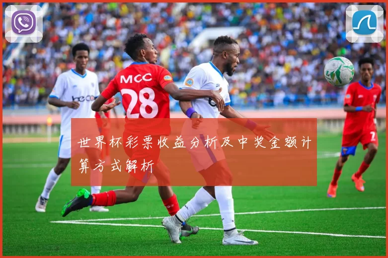 世界杯彩票收益分析及中奖金额计算方式解析