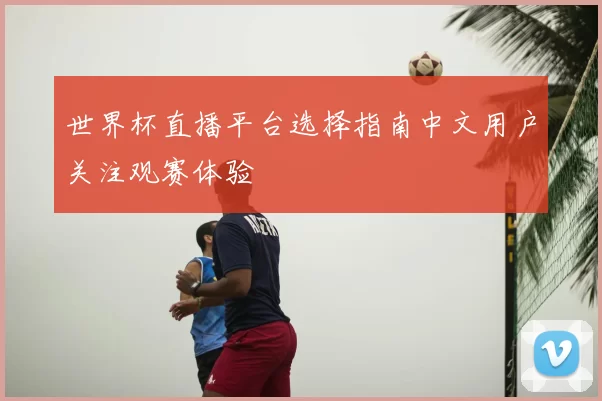 世界杯直播平台选择指南中文用户关注观赛体验