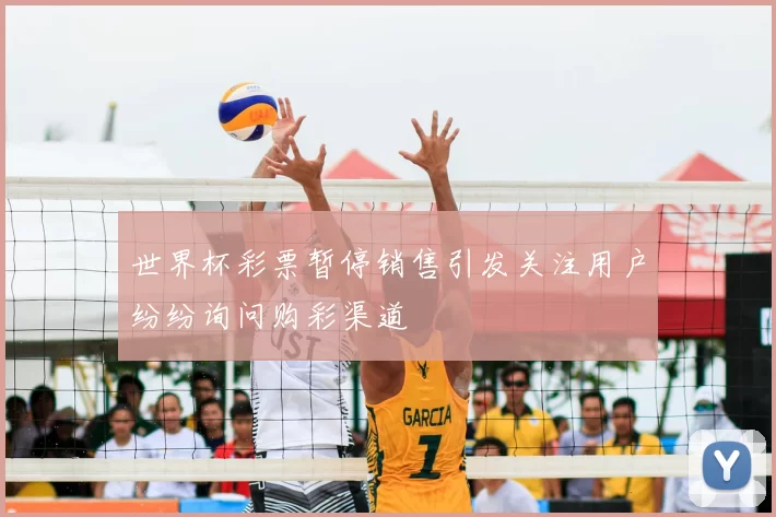 世界杯彩票暂停销售引发关注用户纷纷询问购彩渠道