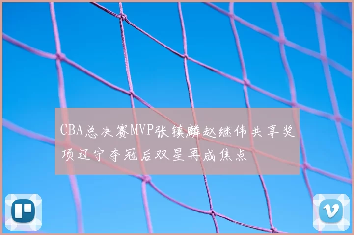 CBA总决赛MVP张镇麟赵继伟共享奖项辽宁夺冠后双星再成焦点