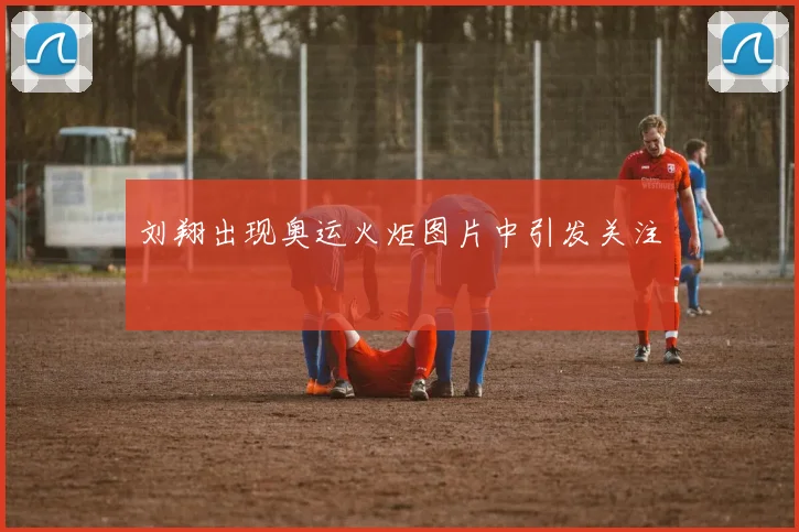 刘翔出现奥运火炬图片中引发关注