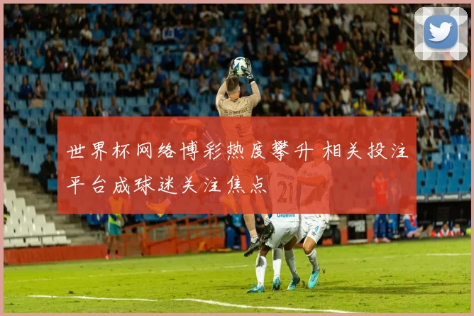 世界杯网络博彩热度攀升 相关投注平台成球迷关注焦点