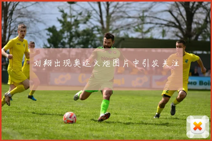 刘翔出现奥运火炬图片中引发关注
