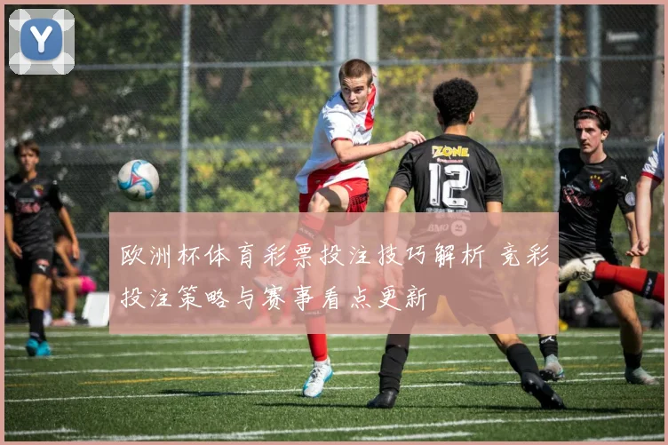 欧洲杯体育彩票投注技巧解析 竞彩投注策略与赛事看点更新