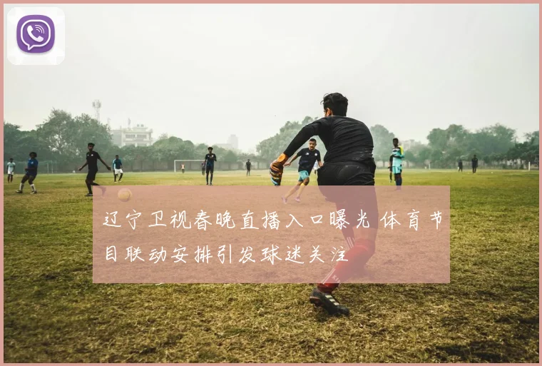 辽宁卫视春晚直播入口曝光 体育节目联动安排引发球迷关注