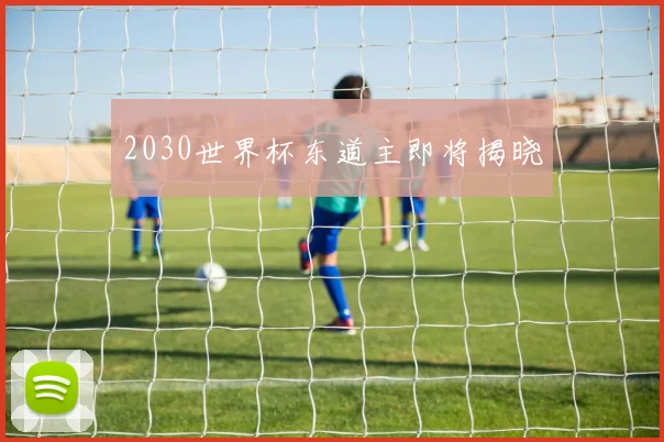 2030世界杯东道主即将揭晓